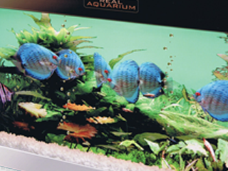 バーチャル熱帯魚 REAL AQUARIUM